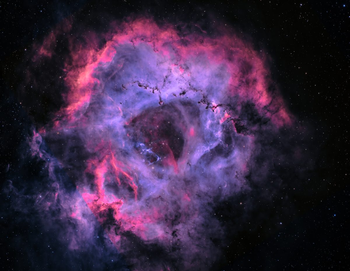 The Rosette Nebula, Caldwell 49 — a wreath of rose-colored shock fronts surrounding a blue-white heart of oxygen emission, imaged at Alligator View Observatory