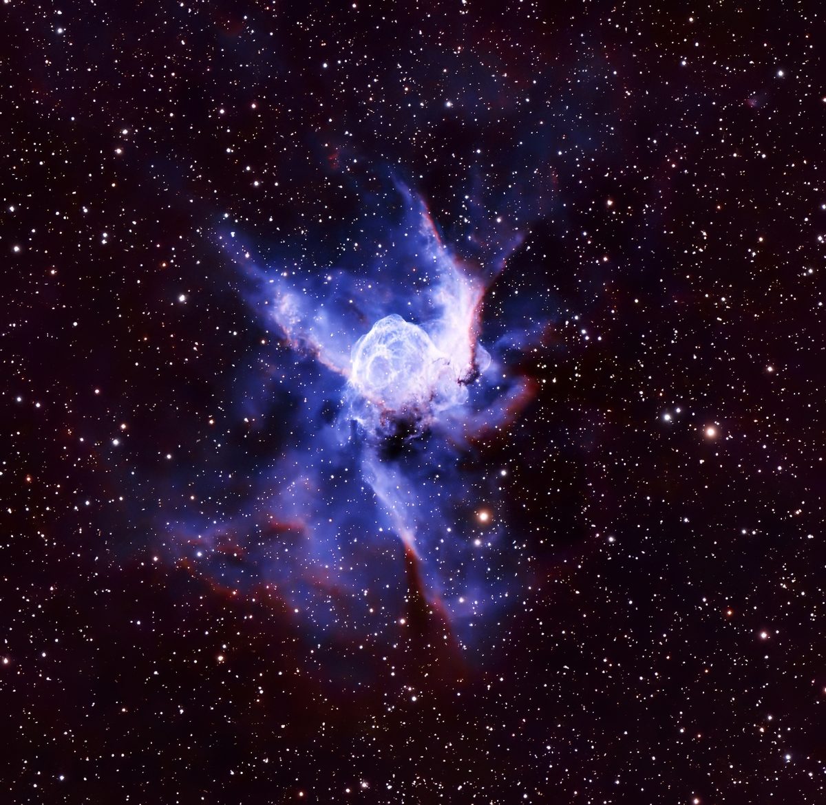 Thor's Helmet nebula, NGC 2359 — a luminous blue wind-blown bubble with sweeping wings and red shock fronts, imaged at Alligator View Observatory